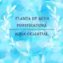 Logo Celestial SPA